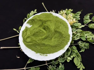 Moringa: The Miracle Tree That Science Is Finally Catching Up To